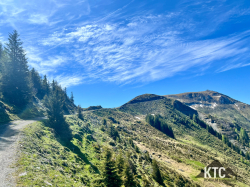 2025-05-31 Hochkonigman - IMG_4005